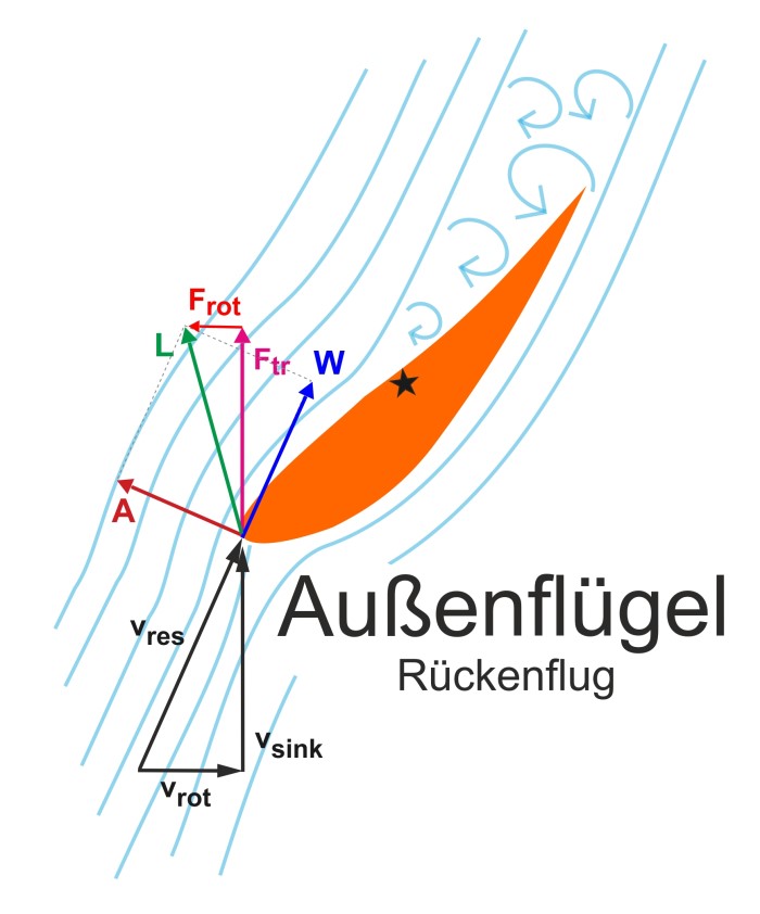 SKF Aussen Rücken Rot 700