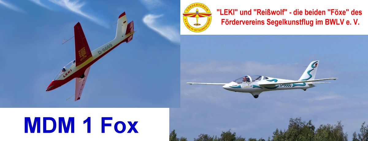 SKF Leitfaden Fox
